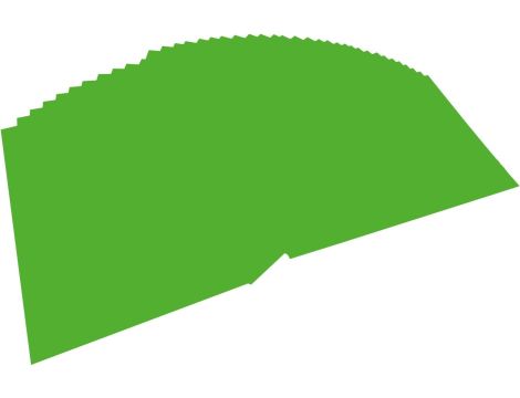 Papier kolorowy zielony Folia 6455 - 2