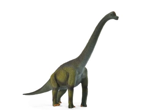 Collecta  Dinozaury i prehistoryczne stworzenia