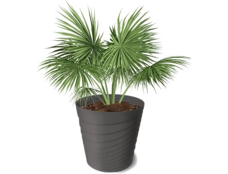 DONICZKA SWING 30cm 07515 ANTRACYT TWORZYWO SZTUCZNE OSŁONKA VERDENIA NH - 3