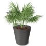 DONICZKA SWING 30cm 07515 ANTRACYT TWORZYWO SZTUCZNE OSŁONKA VERDENIA NH - 4