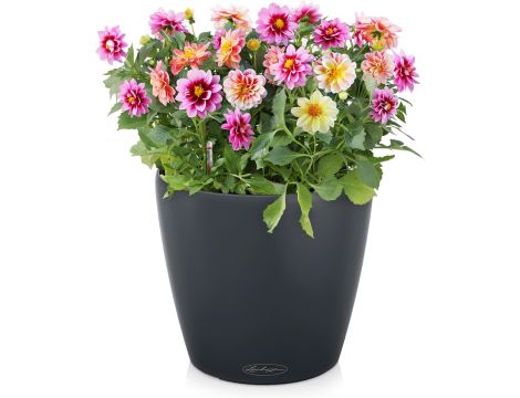 Doniczka tworzywo sztuczne odcienie szarości i srebra Lechuza 18 cm x 18 x - 3
