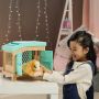 Świnka morska Little Live Pets Mama Suprise - 4