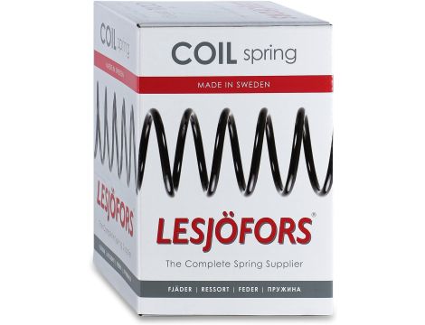 Lesjofors LS4295019 - 5