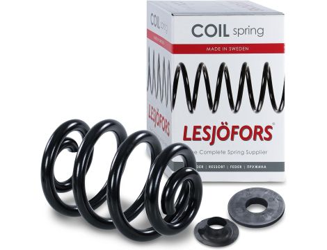 Lesjofors LS4295019 - 6