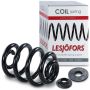 Lesjofors LS4295019 - 2