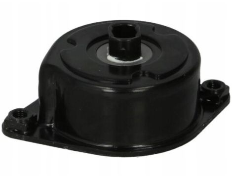 Schaeffler INA 534 0239 10 Napinacz paska klinowego wielorowkowego - 9