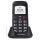 Telefon komórkowy Swisstone BBM 320C 4 MB 2G czarny