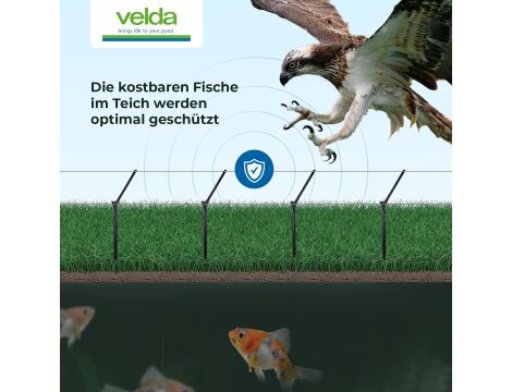 Odstraszacz przeciwko ptakom Velda - 3