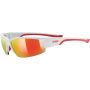Okulary Uvex Sportstyle 215 - 4