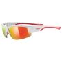 Okulary Uvex Sportstyle 215 - 2