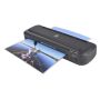 Pavo - Laminator Florida - 2