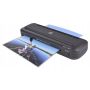 Pavo - Laminator Florida - 4
