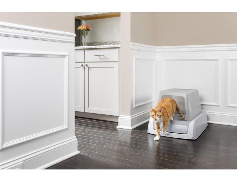 Petsafe PAL19-17125 ScoopFree Samoczyszcząca się Kuweta - 3