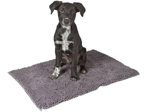 Mata dla psa szary 50 cm x 1 cm Alizoo - 3