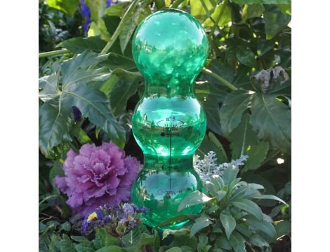Butle do nawadniania roślin Garden Innovations 1,25 l 4 szt. - 3