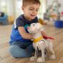 Figurka Fisher-Price DC League of Super-Pets - 4