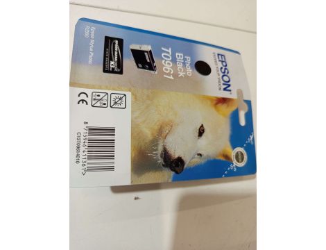 Tusz do drukarki EPSON Photo Black T0961 czarny