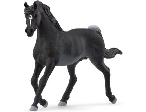 Schleich Horse Club Ogier Czystej Krwi Arabskiej 13981 - image 2