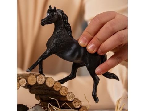 Schleich Horse Club Ogier Czystej Krwi Arabskiej 13981 - 3