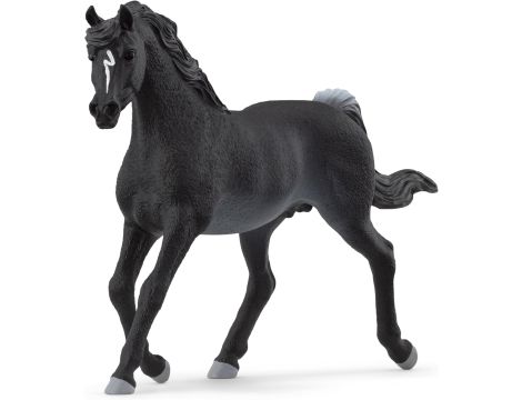 Schleich Horse Club Ogier Czystej Krwi Arabskiej 13981 - 2