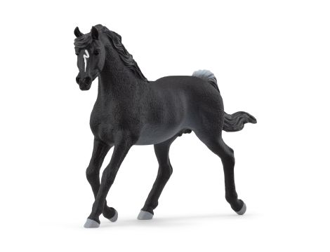 Schleich Horse Club Ogier Czystej Krwi Arabskiej 13981