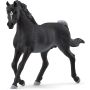Schleich Horse Club Ogier Czystej Krwi Arabskiej 13981 - 3