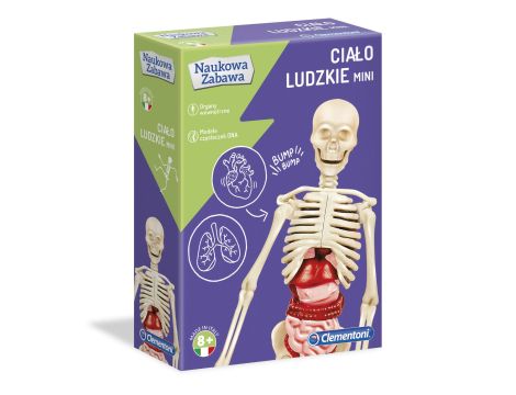 Zestaw Clementoni Galileo Poznaj ludzkie ciało