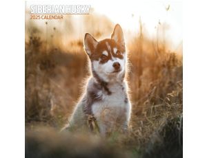 2025 tradycyjny kalendarz Husky