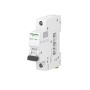 Wyłącznik nadprądowy Schneider Electric 230 V IP20 16 A - 7
