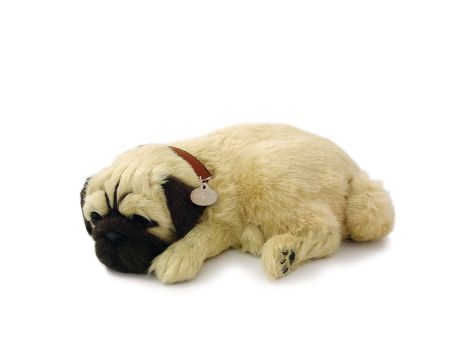 PERFECTPET Słodki mops pluszowa zabawka