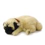 PERFECTPET Słodki mops pluszowa zabawka - 2