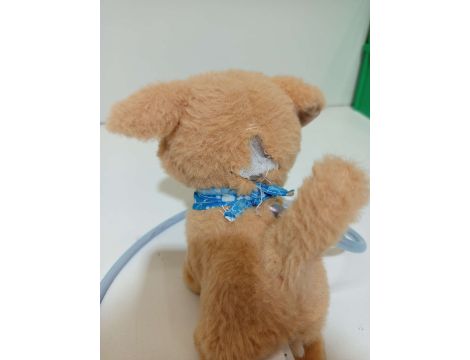 Zabawka SIMBA Chi Chi Love Loomy Golden Retriever - 5