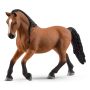 Kalendarz adwentowy HORSE CLUB - 10