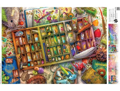 Puzzle kolekcja przyrodnika 1000 el 68x50 cm Buffalo Games Aimee Stewart - 4