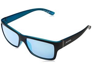 Okulary Alpina A8523333