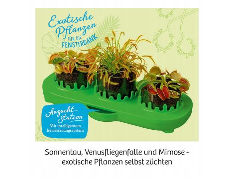 rośliny mięsożerne samo sadzenie - 3