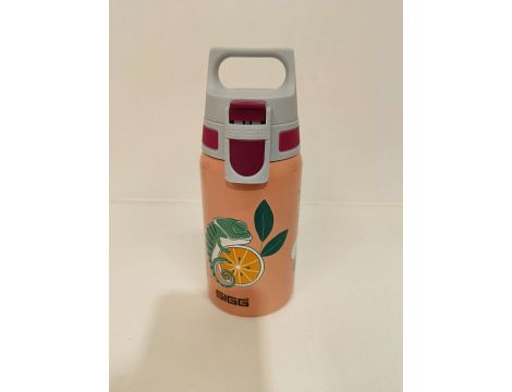 Bidon SIGG 0,5 ml - 7