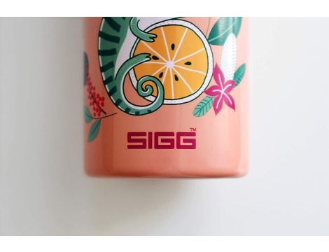 Bidon SIGG 0,5 ml - 6