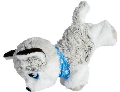 CCL Happy Husky interaktywny - 4