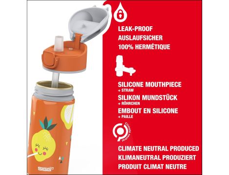 Bidon Sigg 400 ml - 4