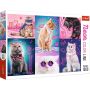 Puzzle 1000 elementów Neon Color Line Trefl - 4