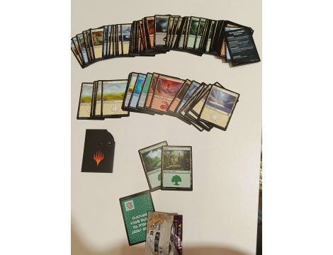 Karta Magic: The Gathering Magic the Gathering: Modern Horizons 3 - 2