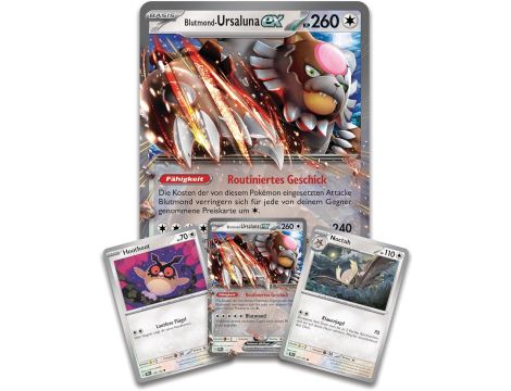 Pokemon TCG EX Box November 2024 *German Version* - 8