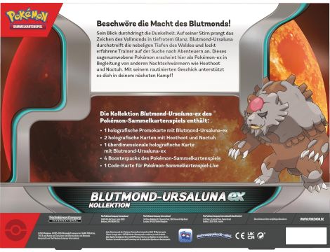 Pokemon TCG EX Box November 2024 *German Version* - 5