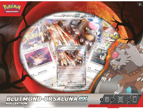 Pokemon TCG EX Box November 2024 *German Version* - 3