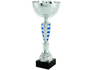 Puchar Trofeum sportowe