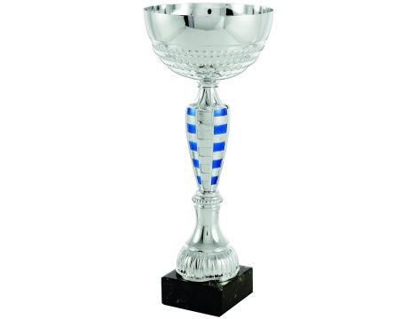 Puchar Trofeum sportowe