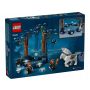 LEGO Harry Potter 76432 Zakazany Las: magiczne stworzenia - 8