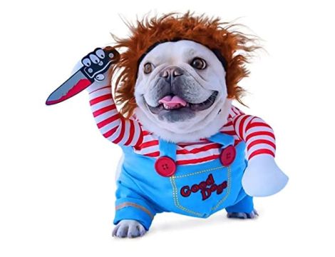 Chucky Kostium dla psa peruka i nóż